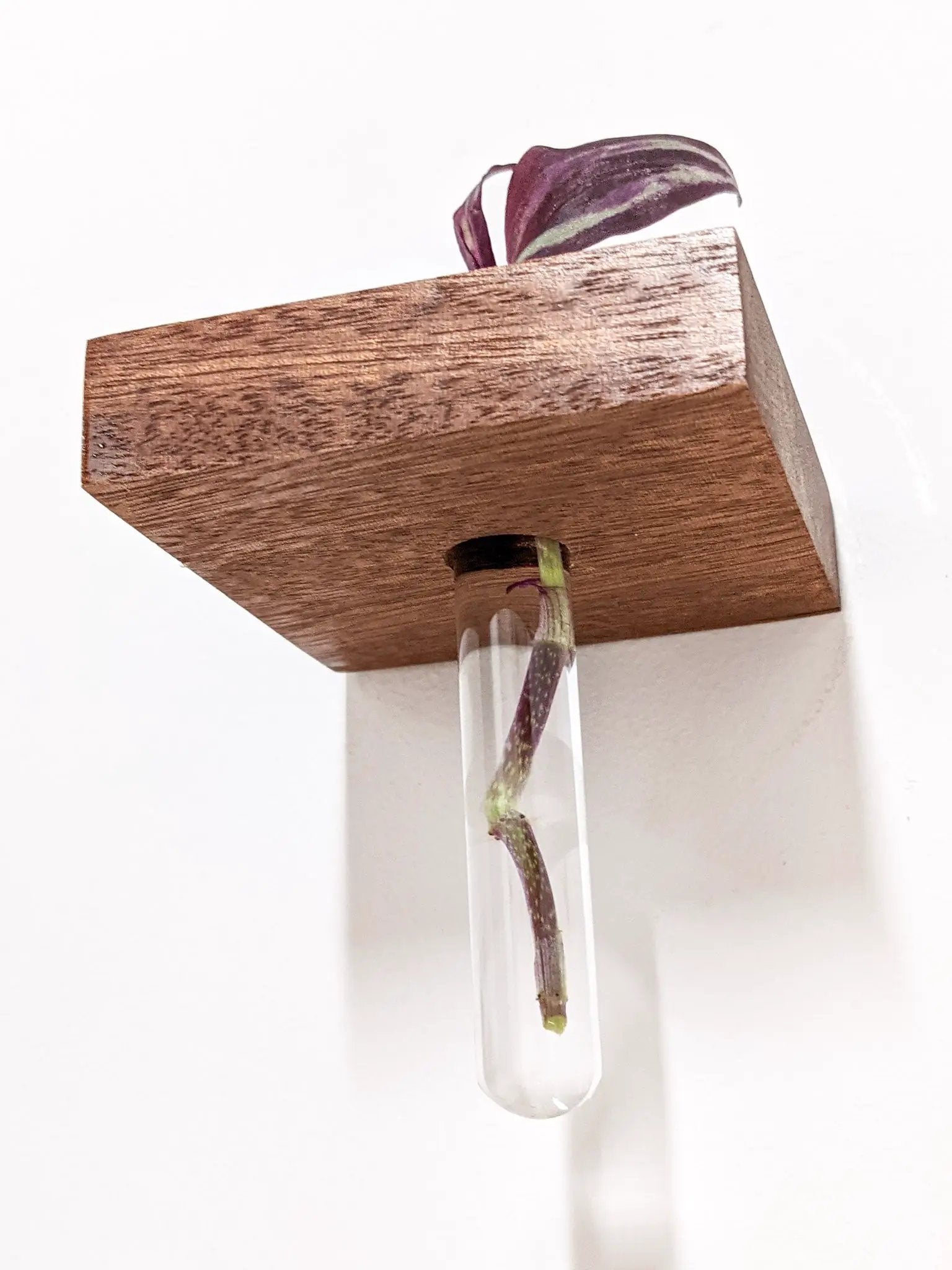 Square Propagation Station Shelf for Plant Cuttings by NookWoodworking