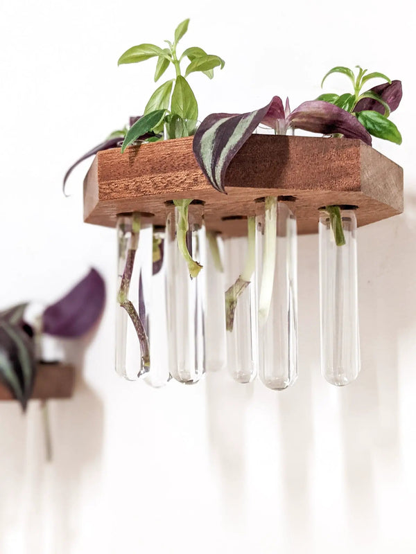 Octagon Propagation Station Shelf for Plant Cuttings
