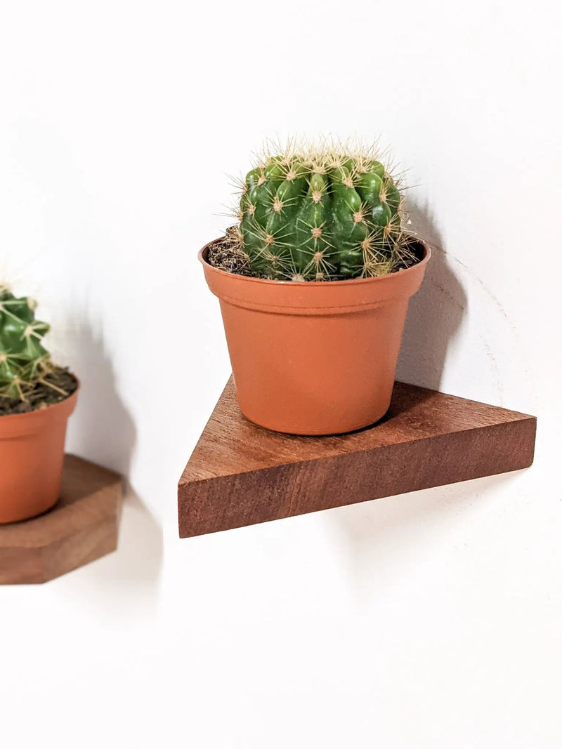 Small Triangle Display Shelf in Mahogany by NookWoodworking