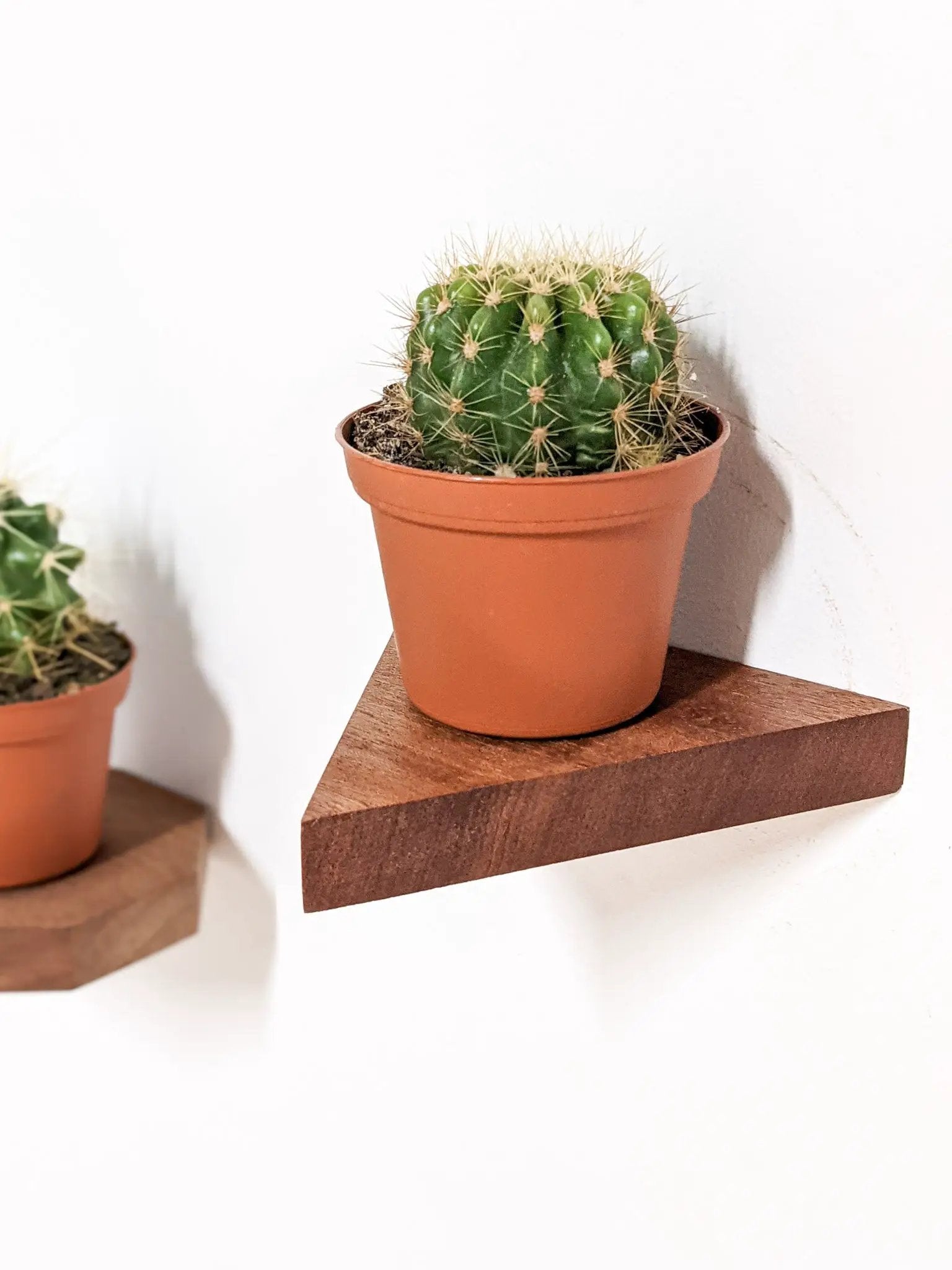 Small Triangle Display Shelf in Oak by NookWoodworking