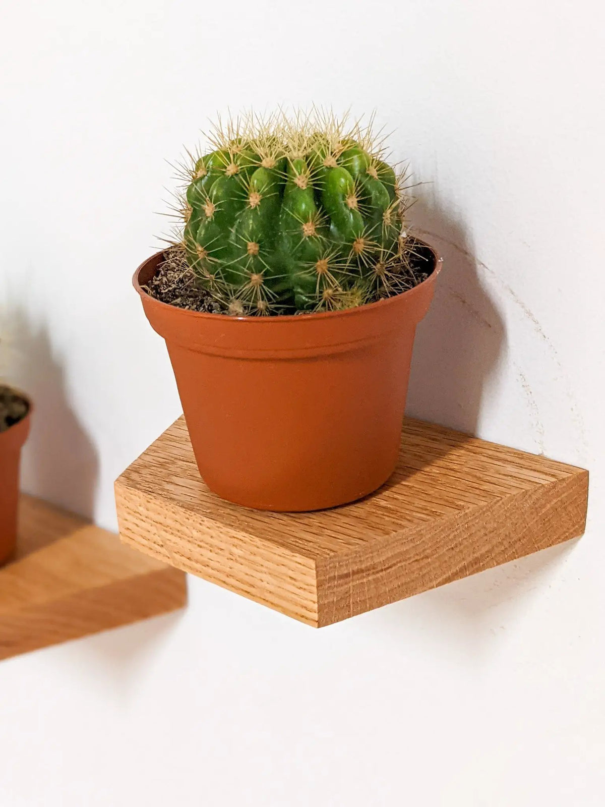Small Trapezoid Display Shelf in Mahogany, photo 6 of 9