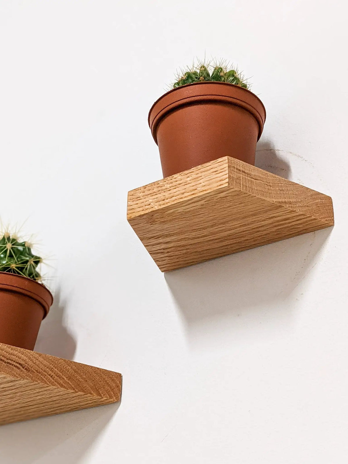 Small Trapezoid Display Shelf in Oak, photo 3 of 10