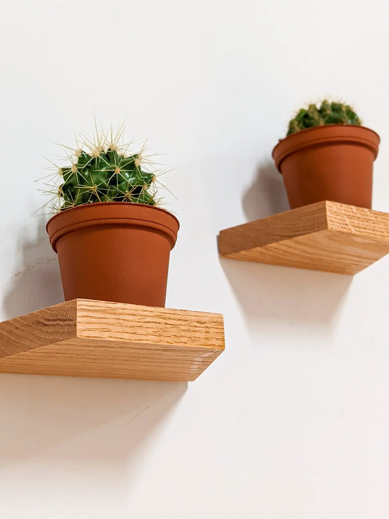 Small Trapezoid Display Shelf in Mahogany by NookWoodworking