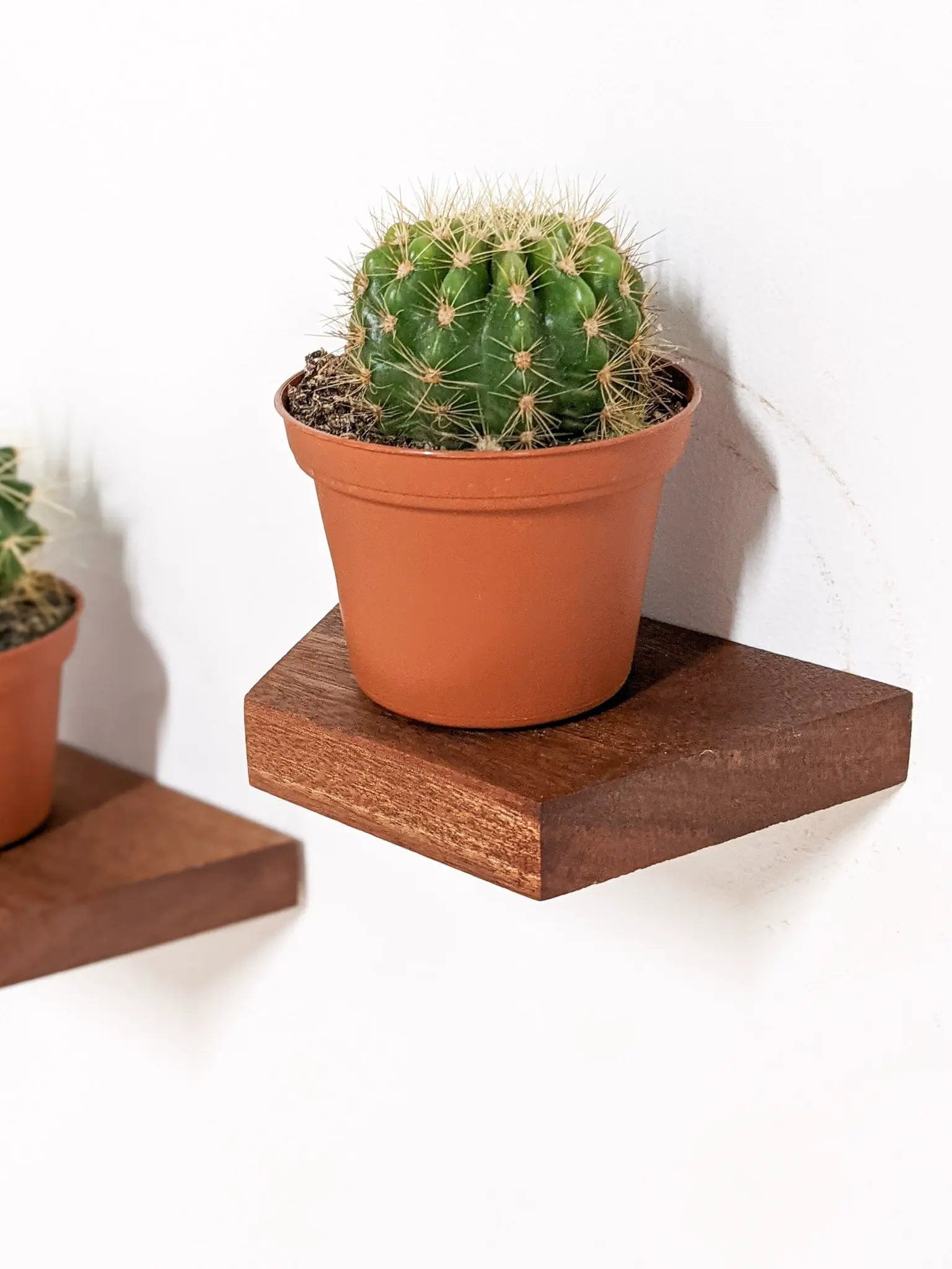 Small Trapezoid Display Shelf in Oak by NookWoodworking