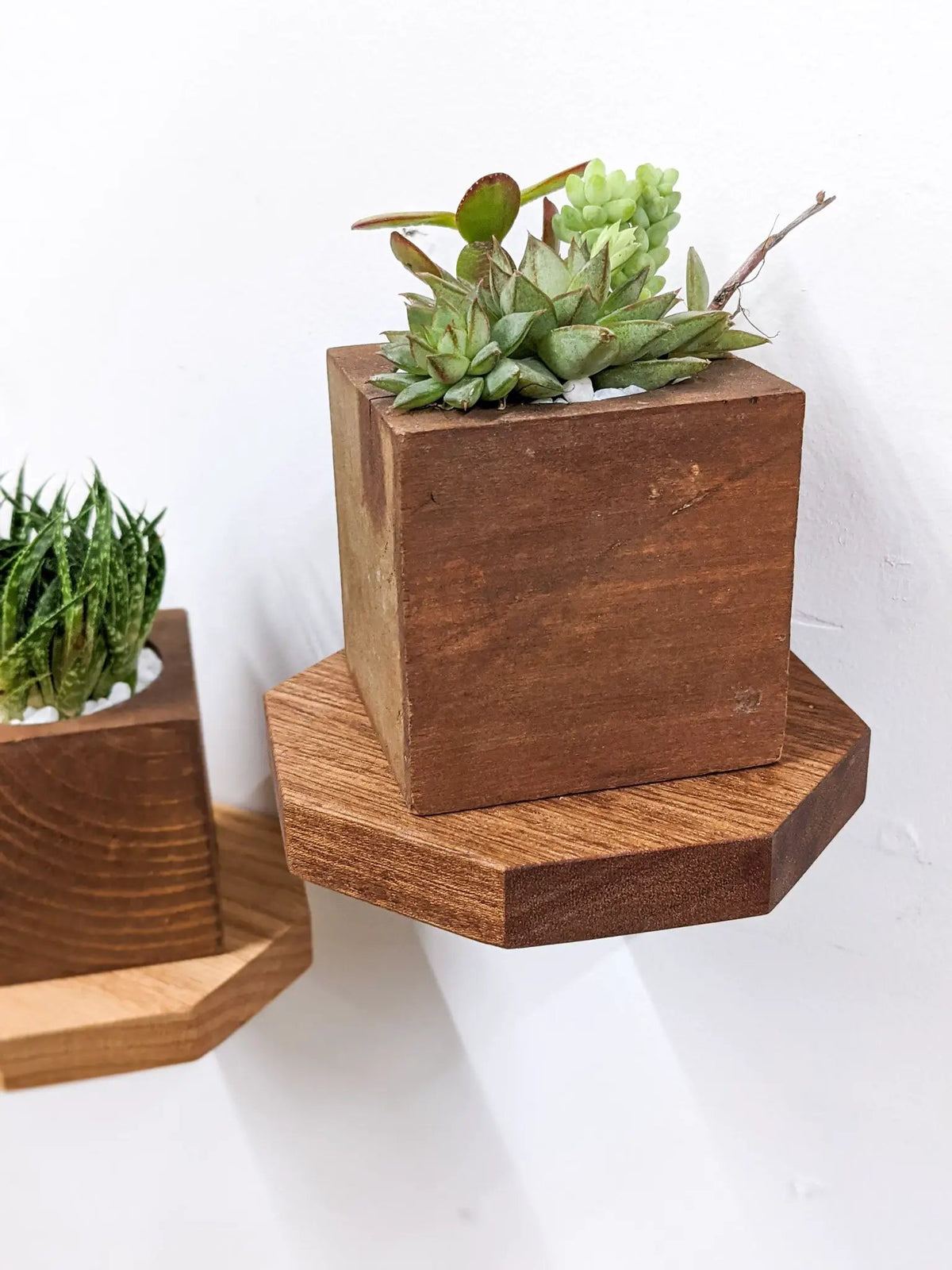 Small Octagon Display Shelf in Mahogany, photo 3 of 10