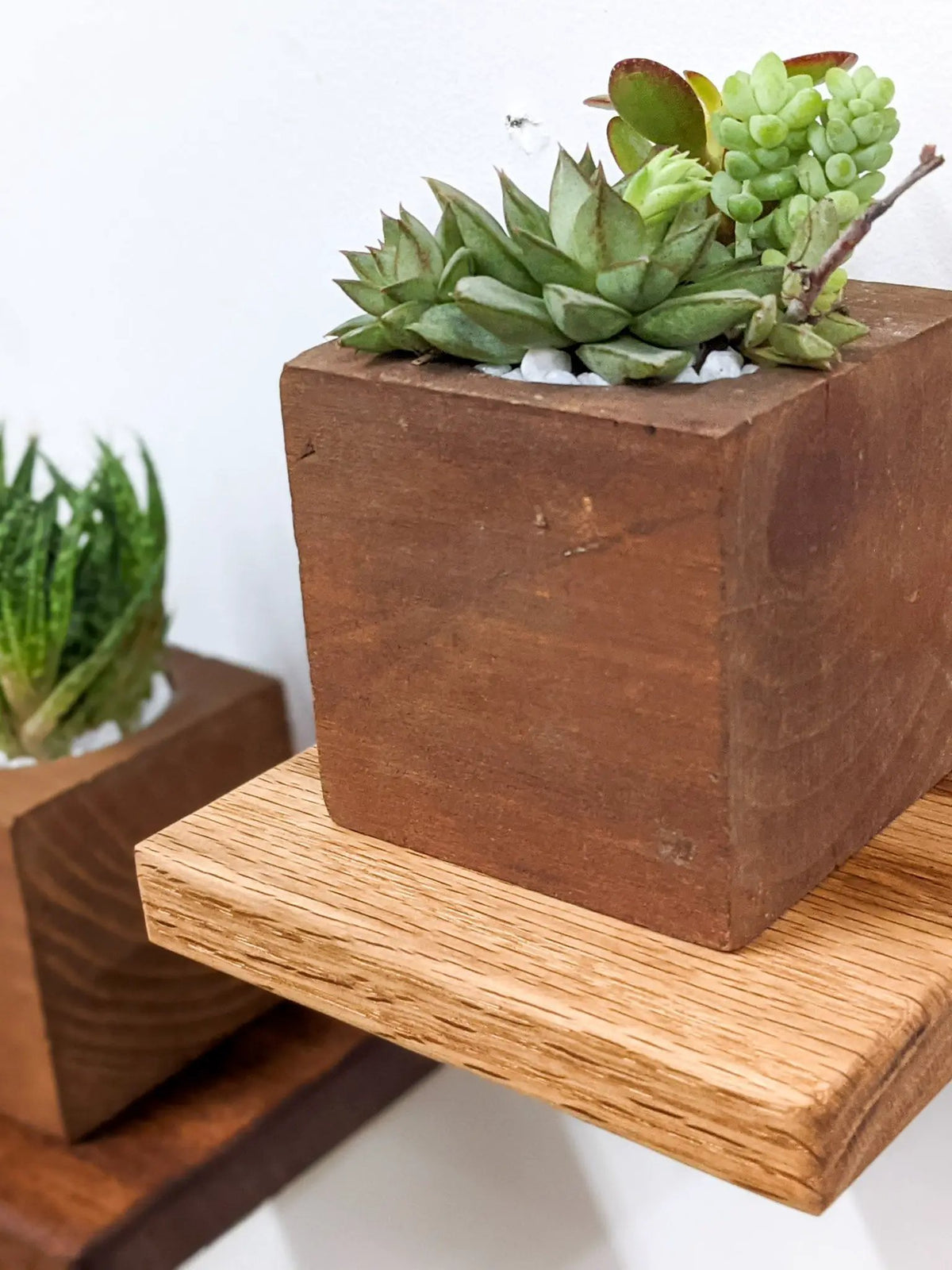 Small Square Display Shelf in Oak, photo 3 of 10