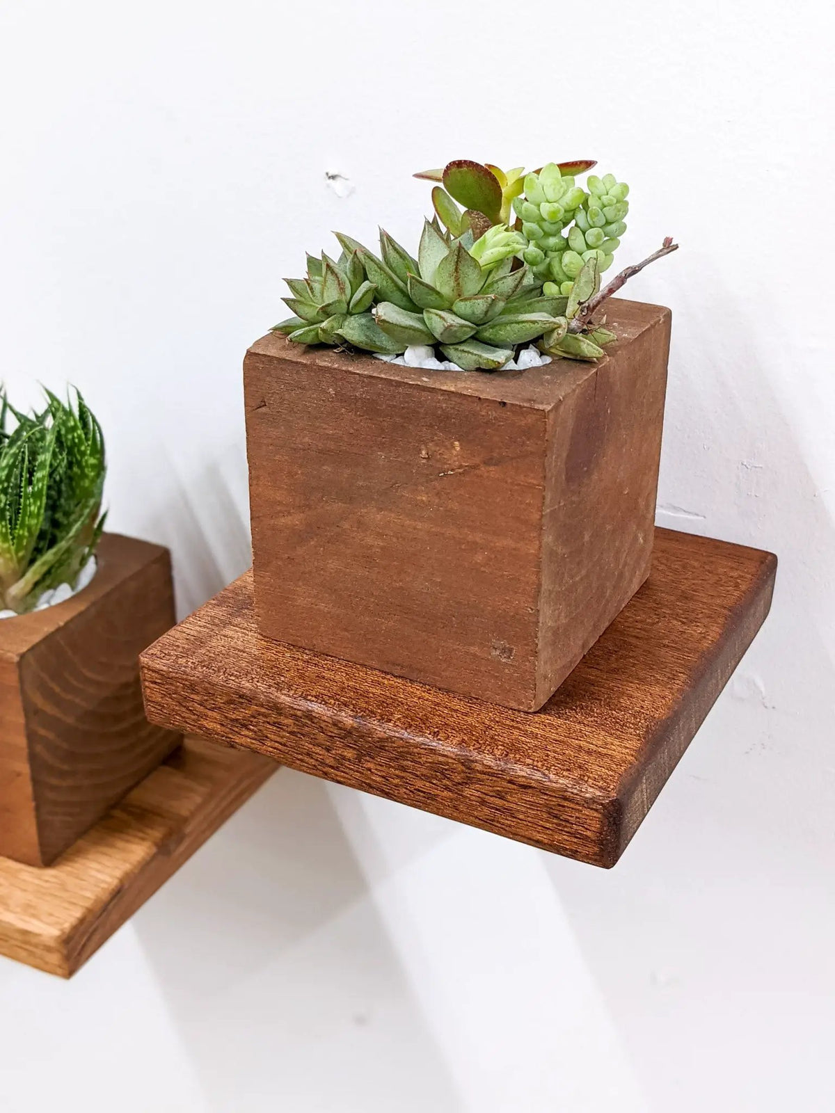 Small Square Display Shelf in Oak, photo 7 of 10