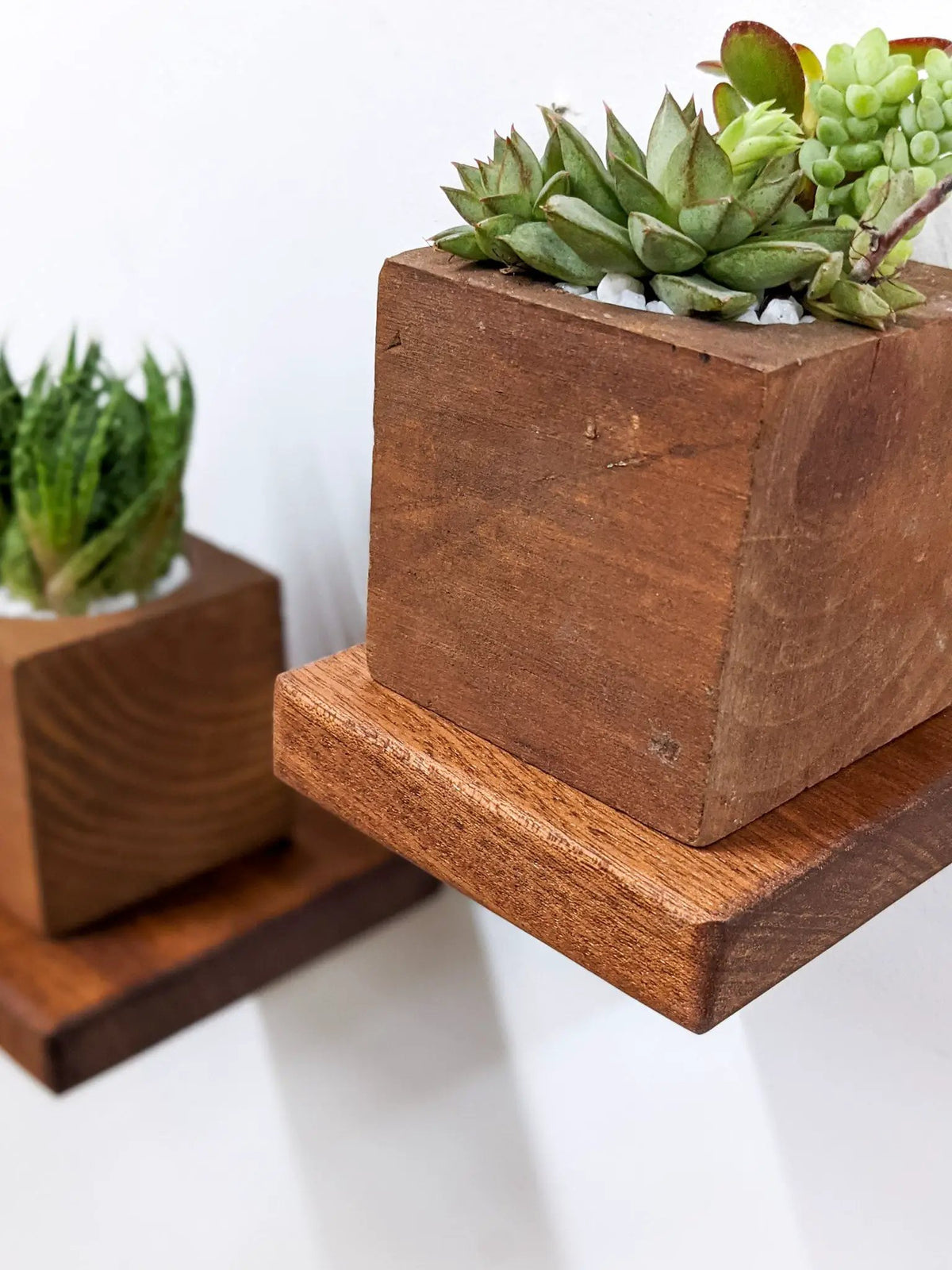 Small Square Display Shelf in Oak, photo 9 of 10