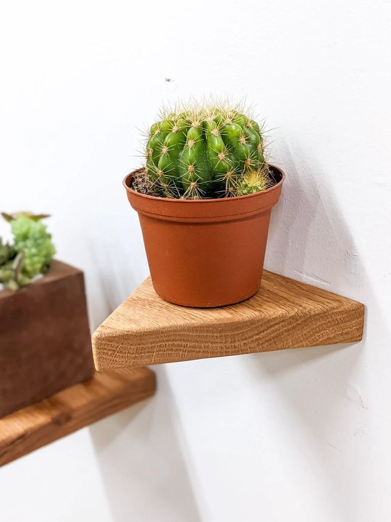 Small Floating Shelf Set by NookWoodworking