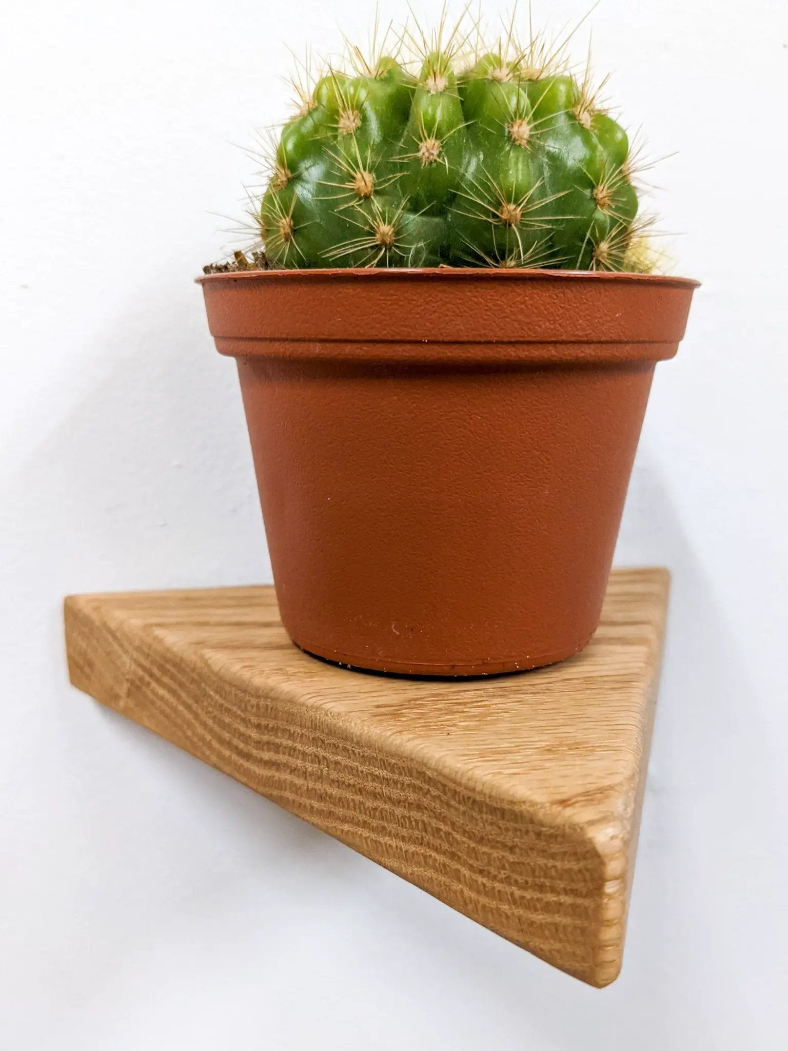 Small Triangle Display Shelf in Oak by NookWoodworking