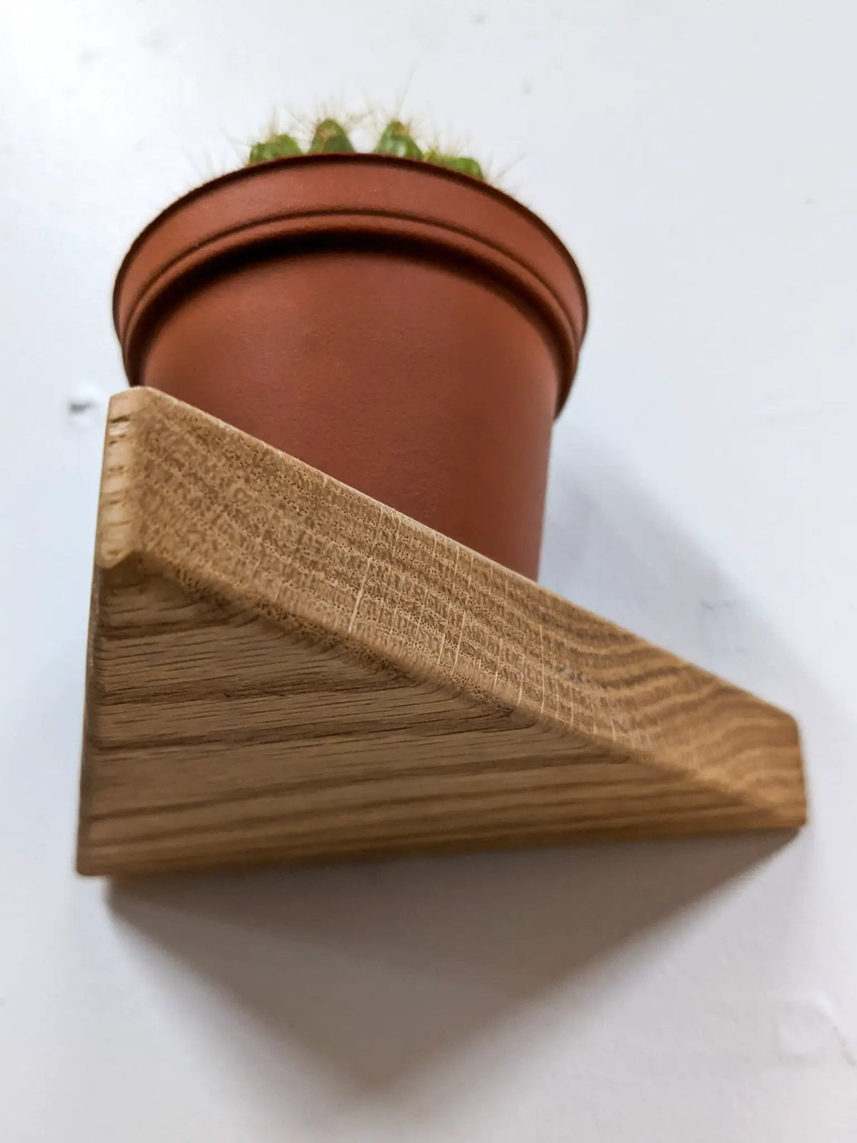 Small Triangle Display Shelf in Oak, photo 4 of 10