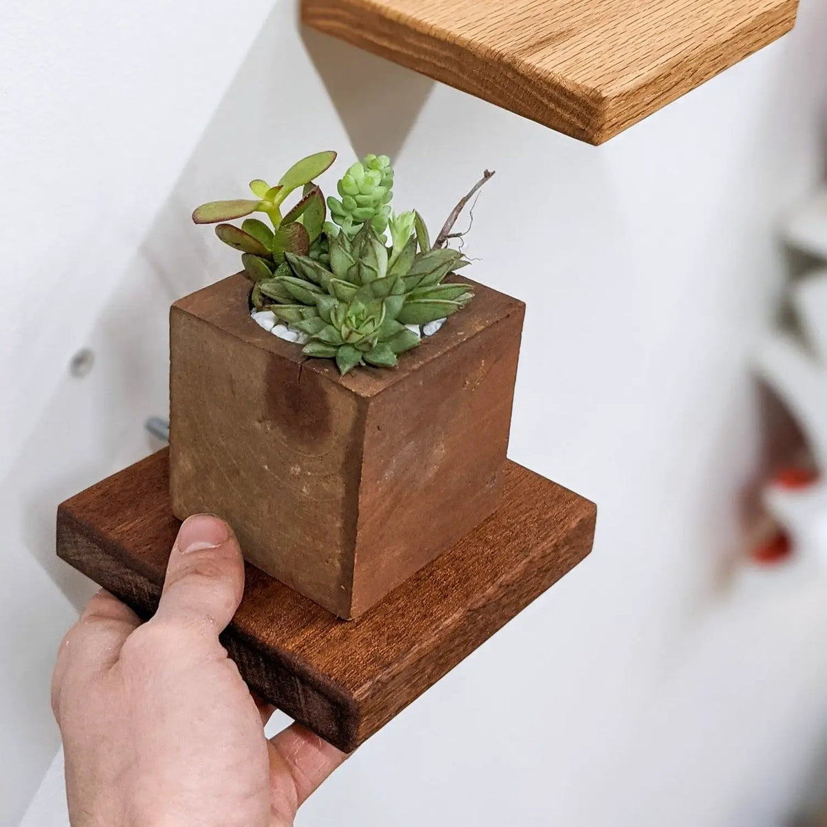 Small Square Display Shelf in Mahogany