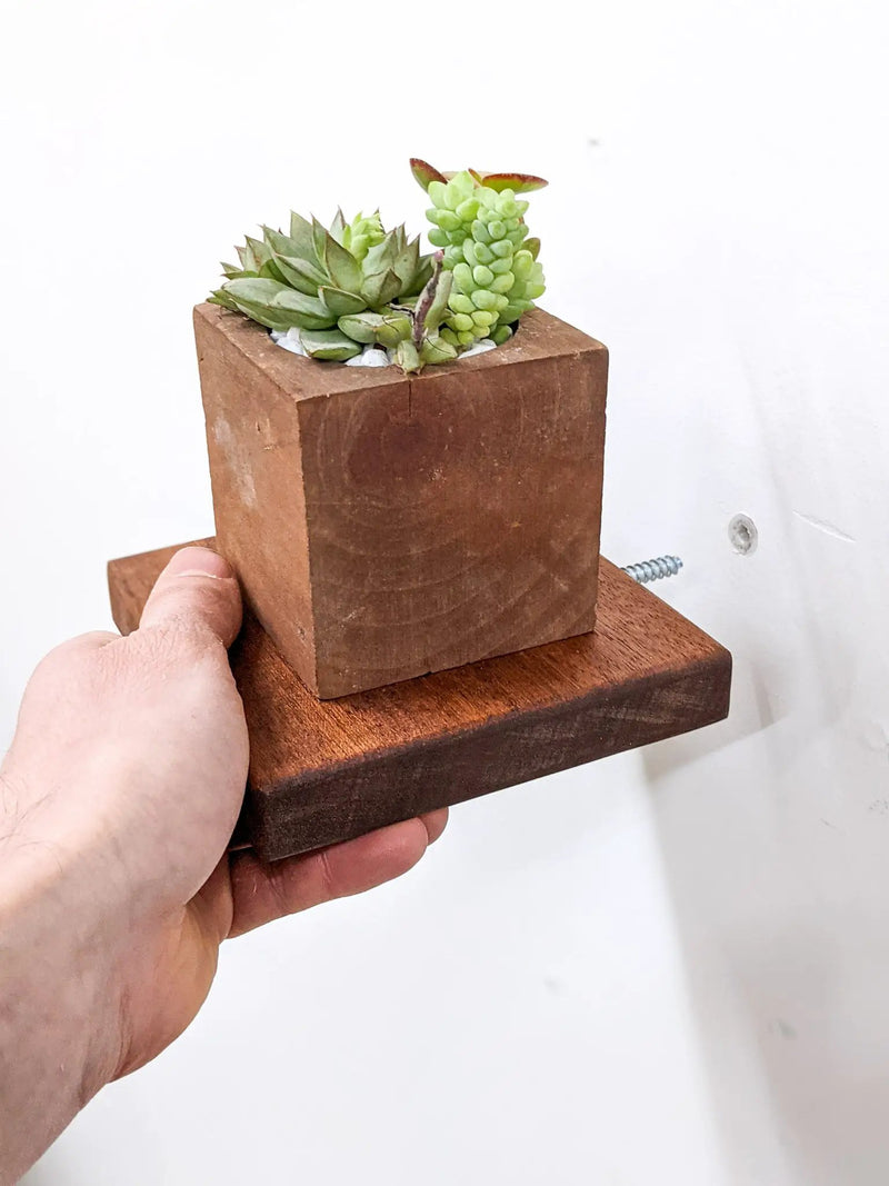Small Square Display Shelf in Mahogany by NookWoodworking