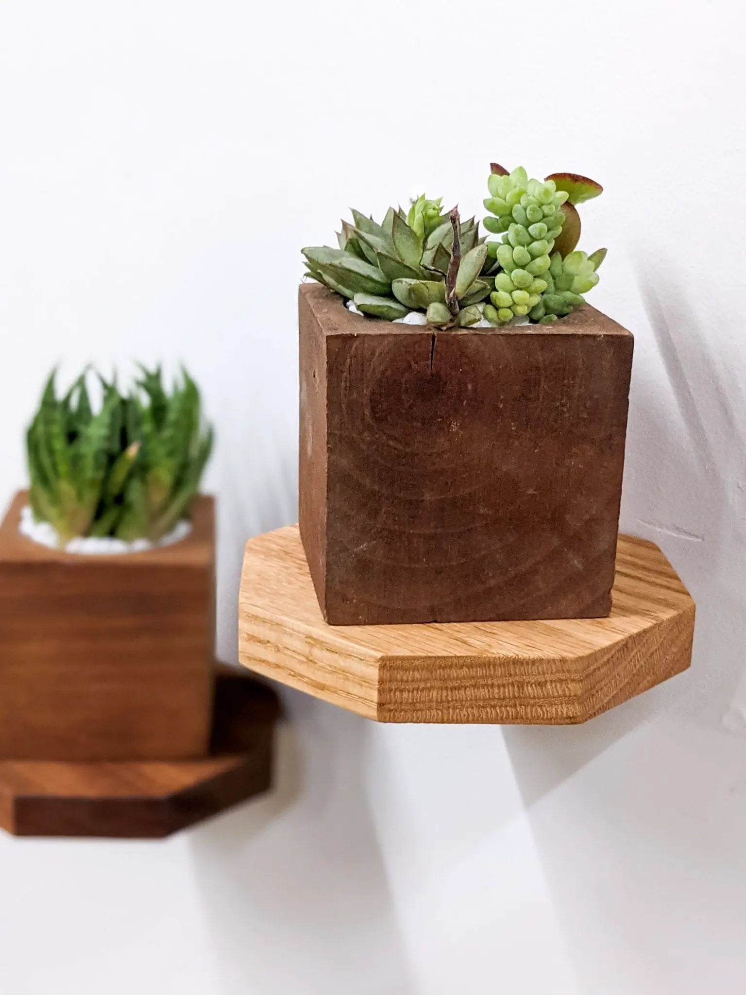 Small Octagon Display Shelf in Oak by NookWoodworking