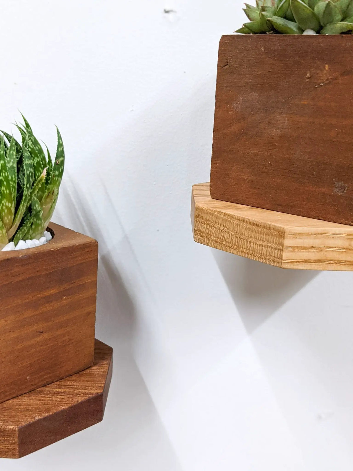 Small Octagon Display Shelf in Oak, photo 4 of 10