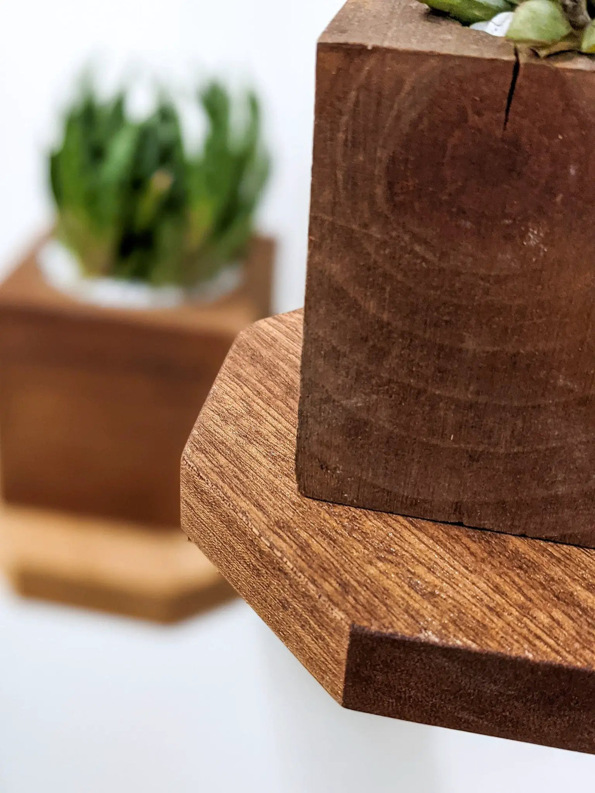 Small Octagon Display Shelf in Mahogany, photo 4 of 10