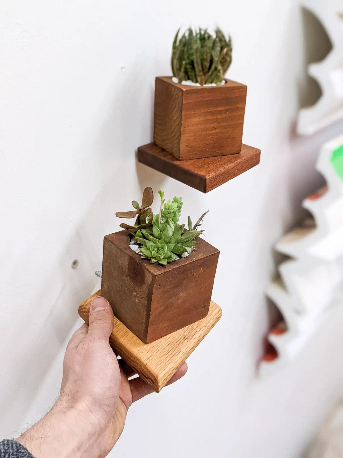 Small Rhombus Display Shelf in Mahogany, photo 5 of 10