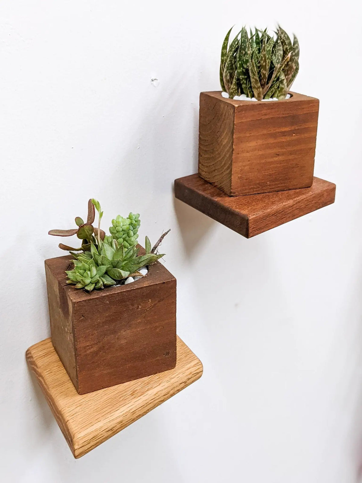 Small Rhombus Display Shelf in Mahogany, photo 6 of 10