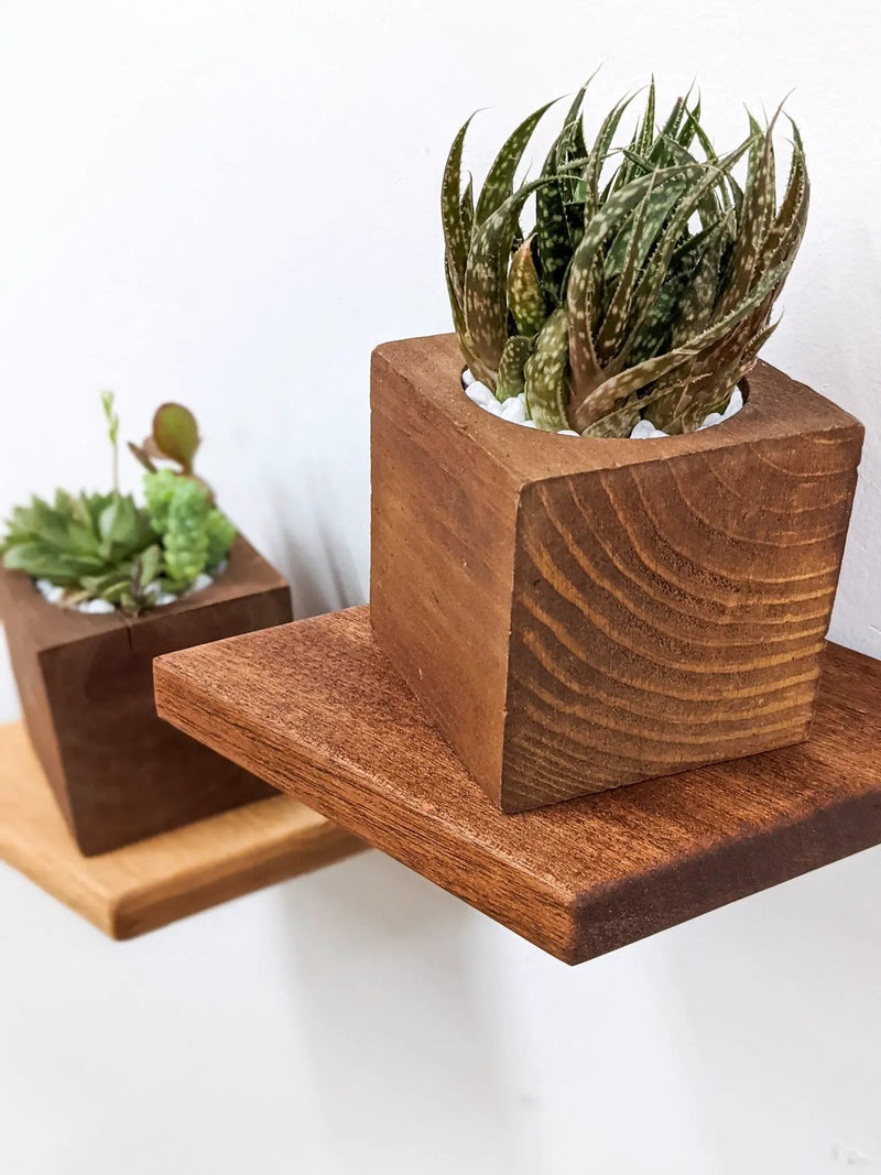 Small Rhombus Display Shelf in Mahogany by NookWoodworking