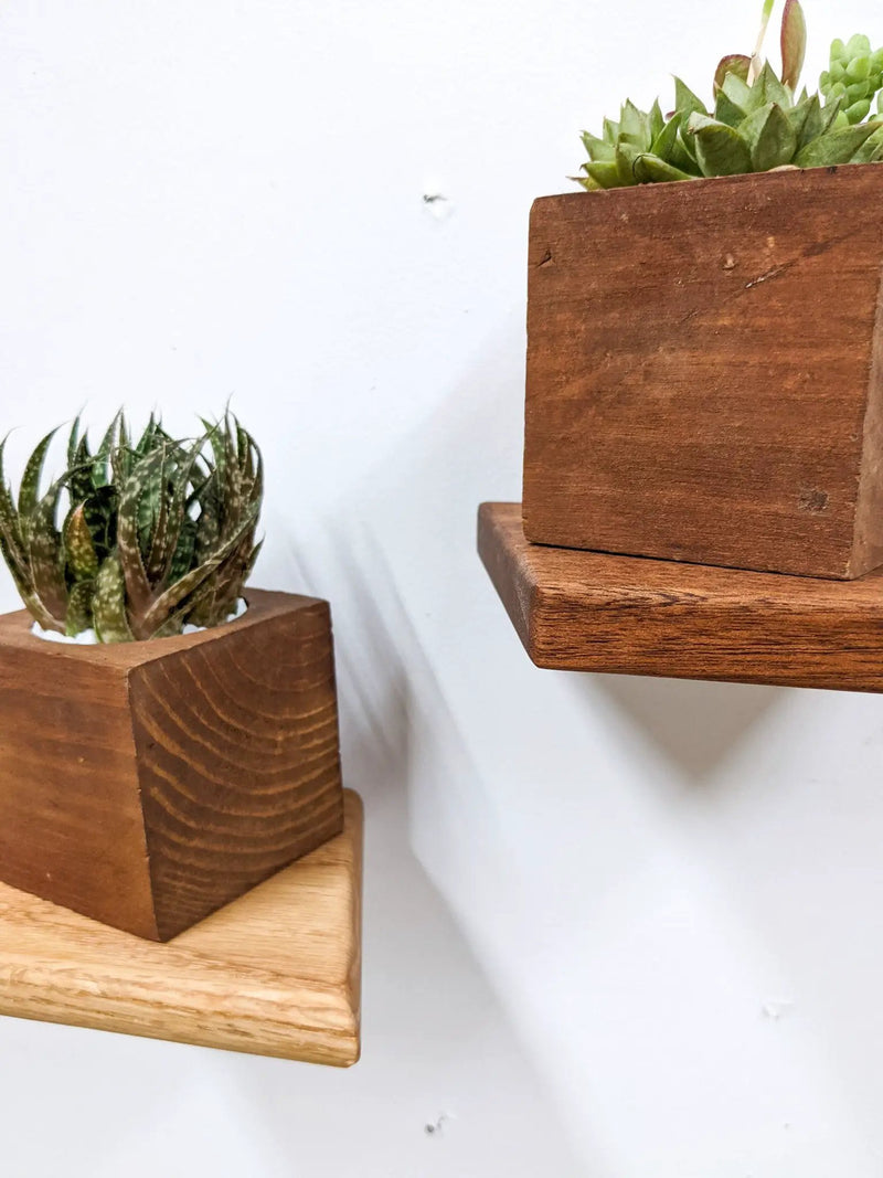 Small Rhombus Display Shelf in Mahogany by NookWoodworking