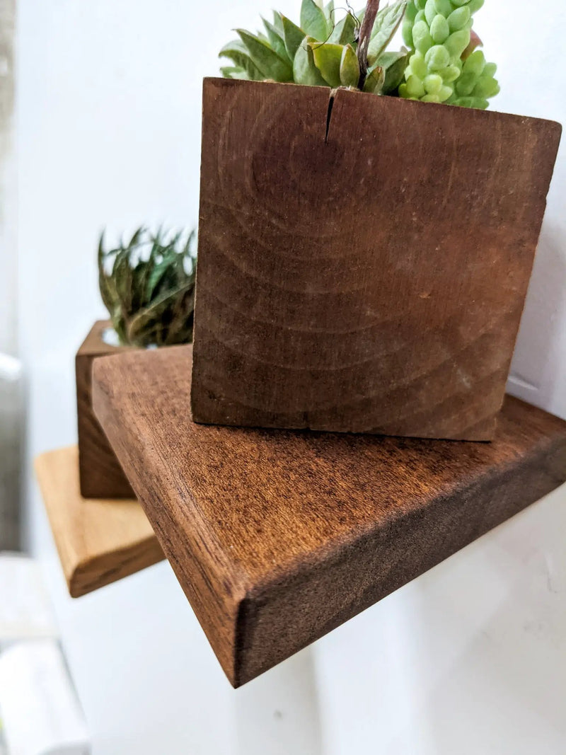 Small Rhombus Display Shelf in Mahogany by NookWoodworking