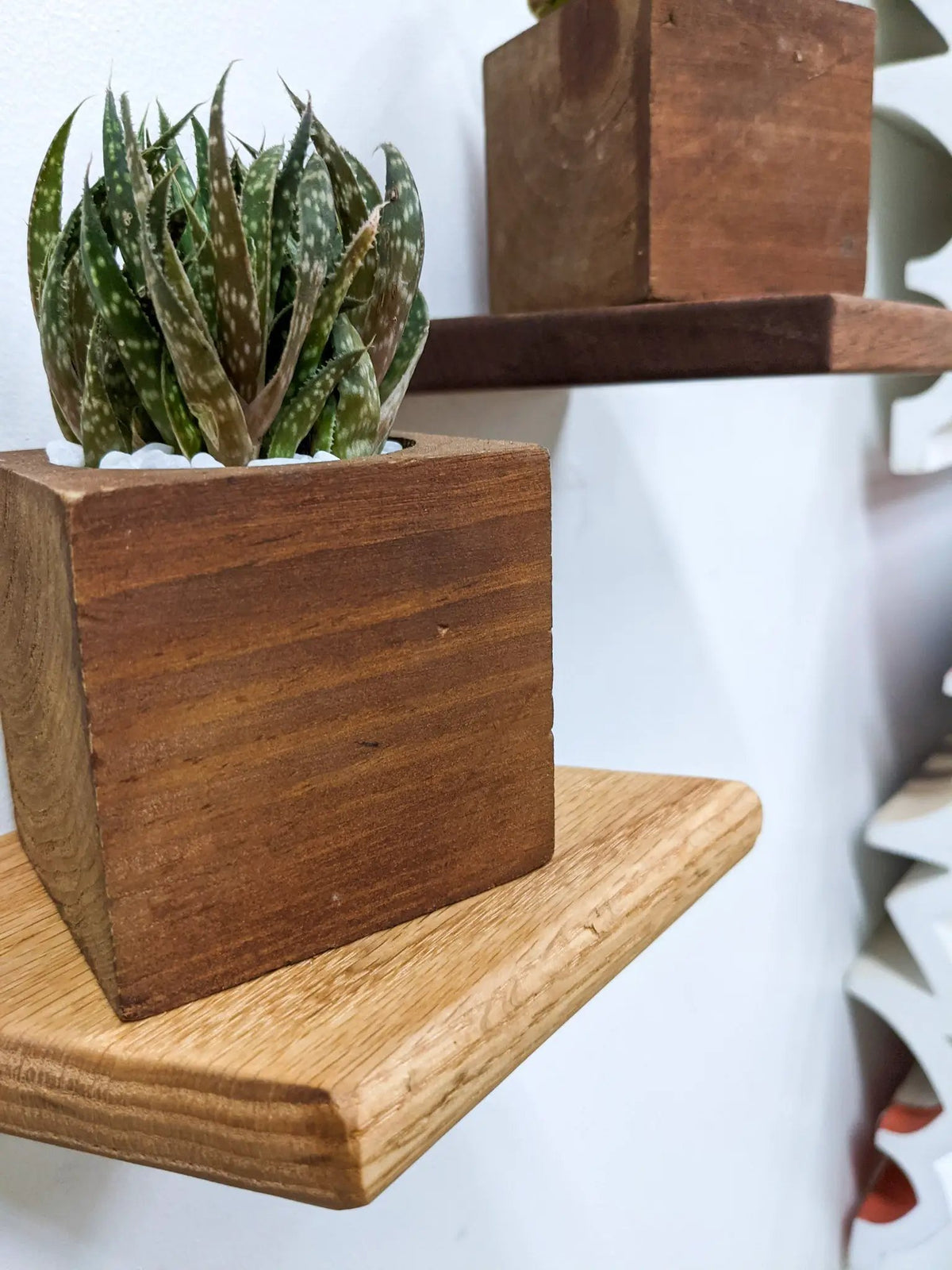 Small Rhombus Display Shelf in Mahogany, photo 9 of 10
