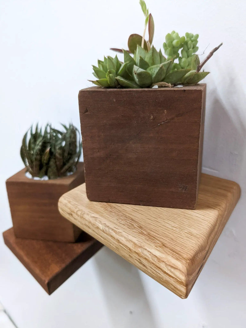 Small Rhombus Display Shelf in Oak by NookWoodworking