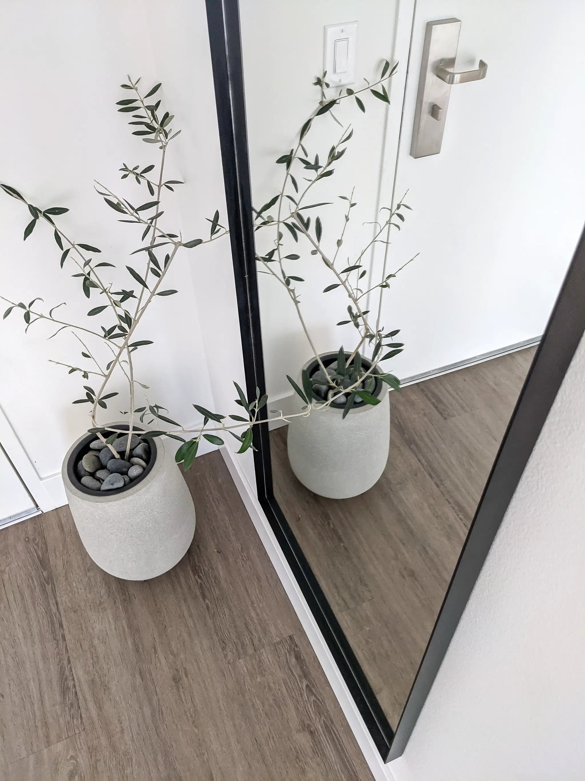 Zeek 64"x24" Black Metal Arched Wall Mirror, Thin Edge Full Length, Deep Set Mirror MB6424 by ZEEK