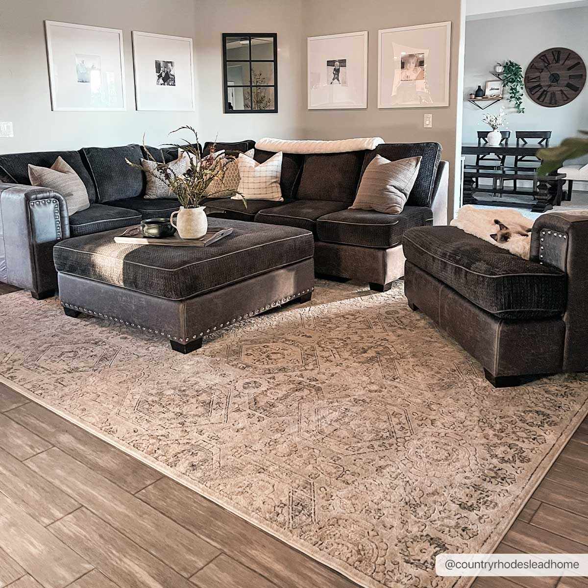 Parkerfield Area Rug, photo 7 of 32