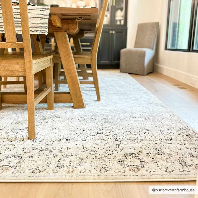 Parkerfield Area Rug by Hauteloom