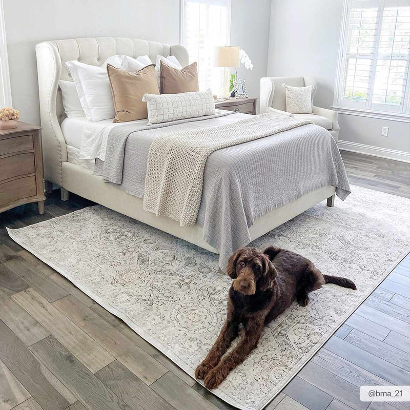 Parkerfield Area Rug by Hauteloom