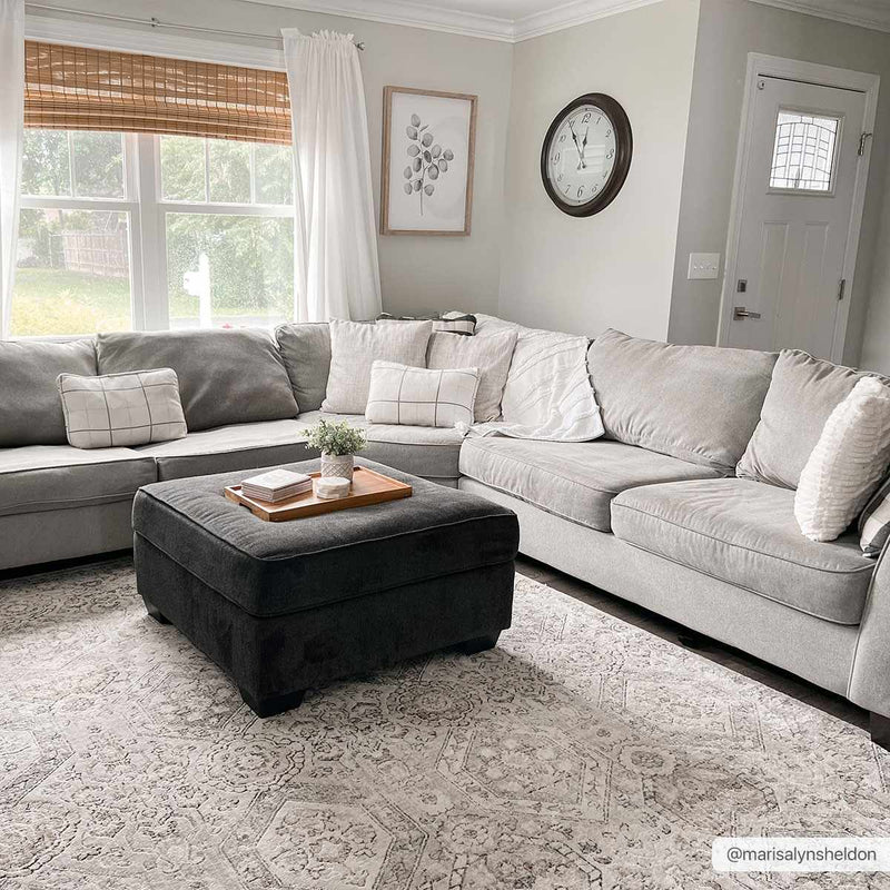 Parkerfield Area Rug by Boutique Rugs