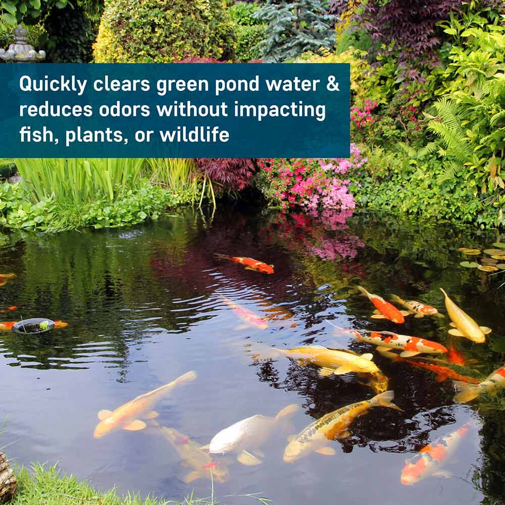 Pond Barley Extract by AquaDoc