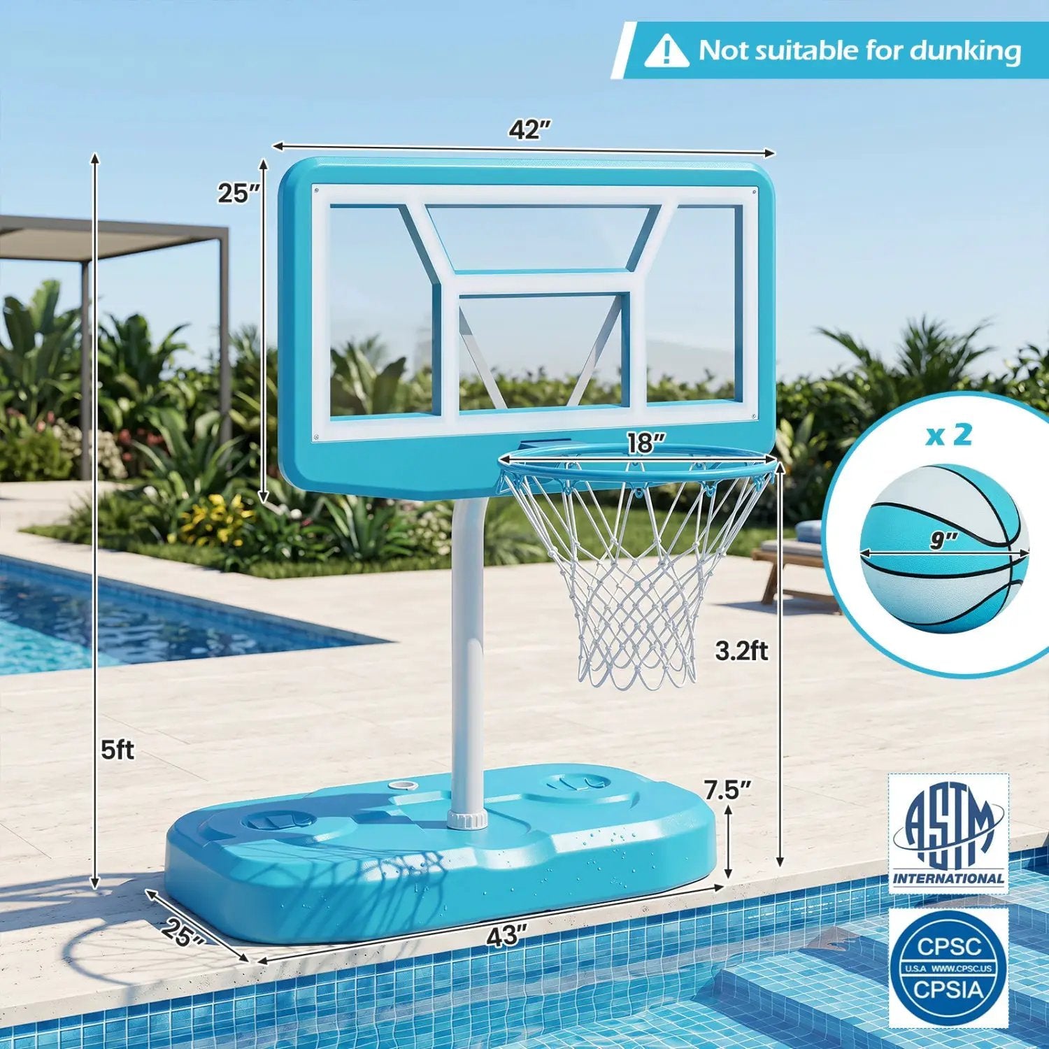 Pool Basketball Hoop Set with 2 Balls and Pump by DirectDeals