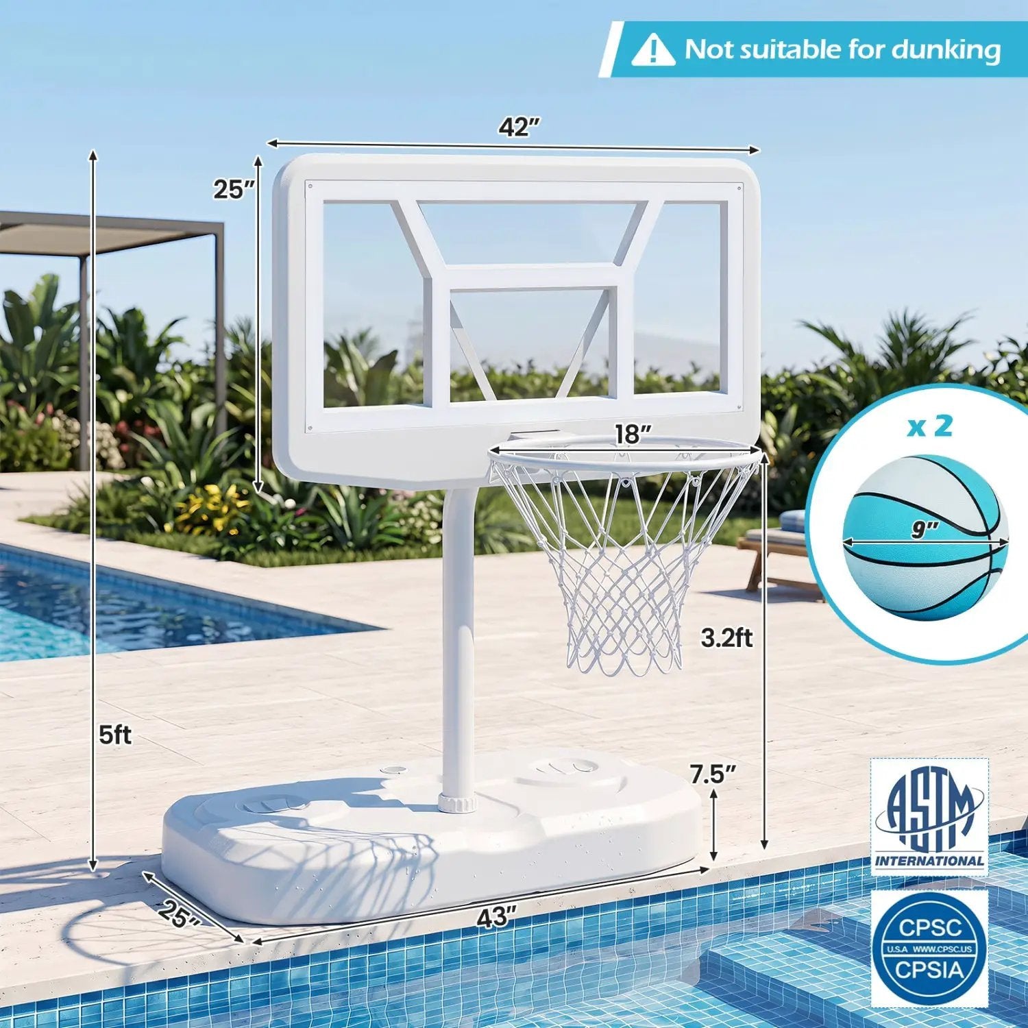 Pool Basketball Hoop Set with 2 Balls and Pump by DirectDeals