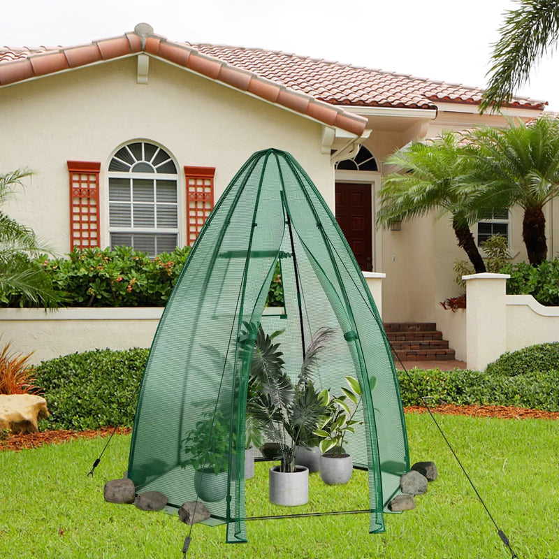 5.5 x 5.5 x 6 Feet Portable Mini Greenhouse with All-Weather PE Cover by DirectDeals
