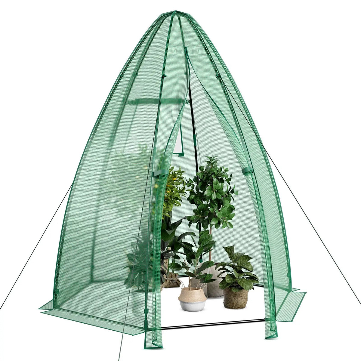 5.5 x 5.5 x 6 Feet Portable Mini Greenhouse with All-Weather PE Cover, photo 4 of 7