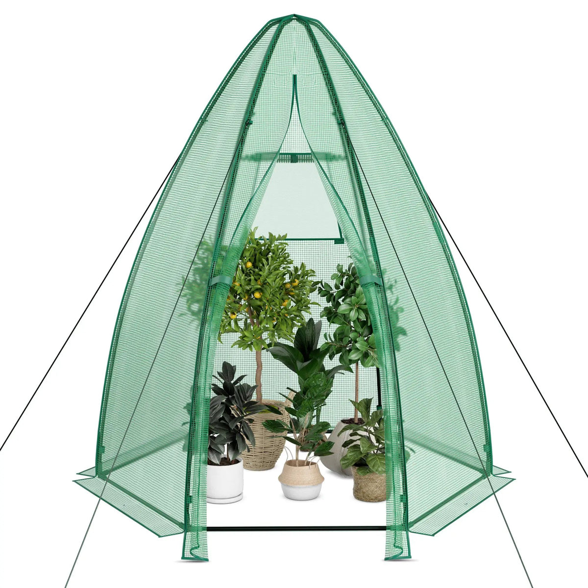 5.5 x 5.5 x 6 Feet Portable Mini Greenhouse with All-Weather PE Cover, photo 6 of 7