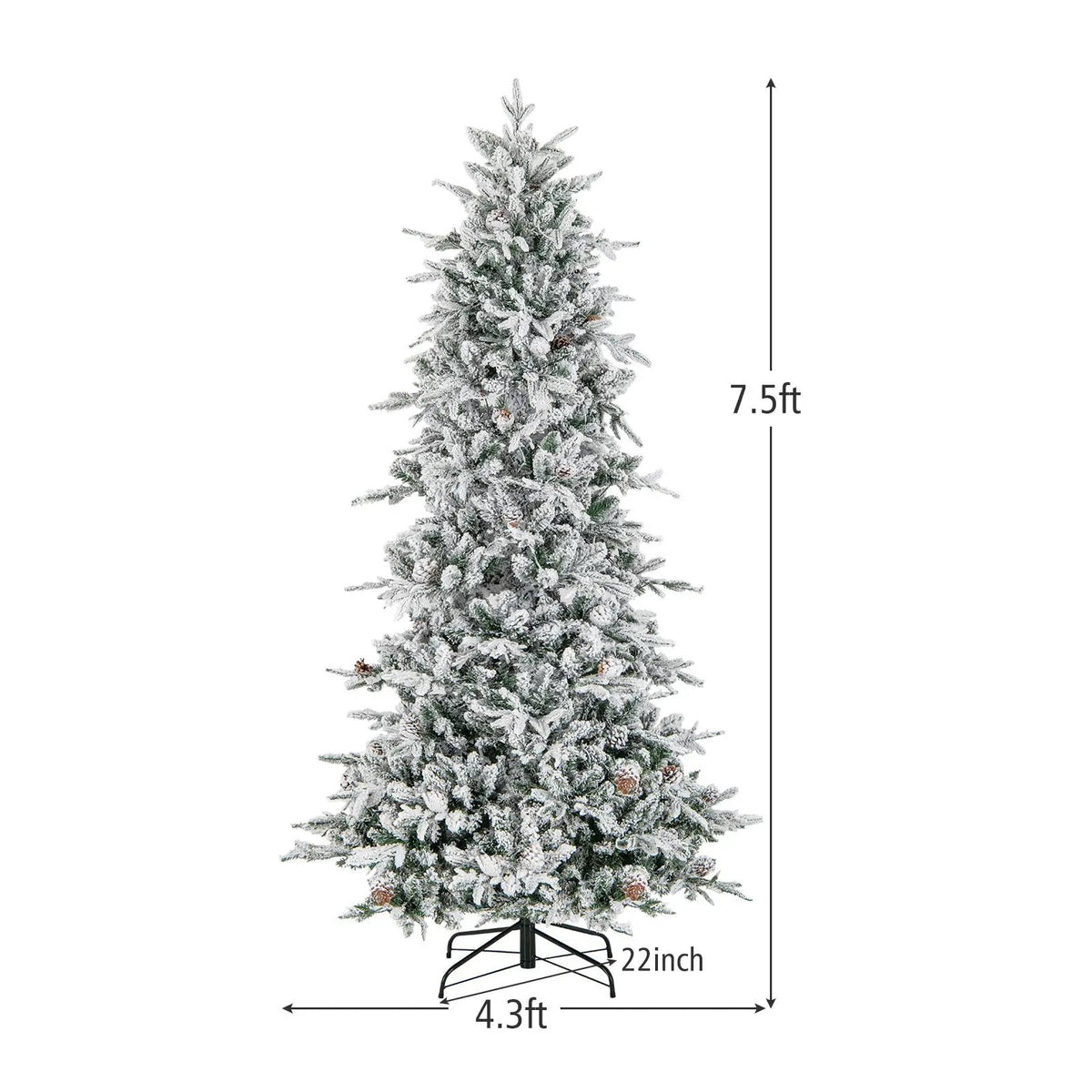 6 Feet Pre, photo 7 of 16