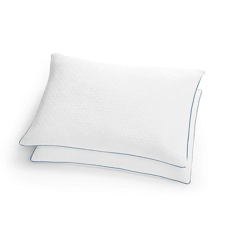 Set of 2 Queen size Memory Foam Pillow with Removable Machine Washable Cover by HomePacific