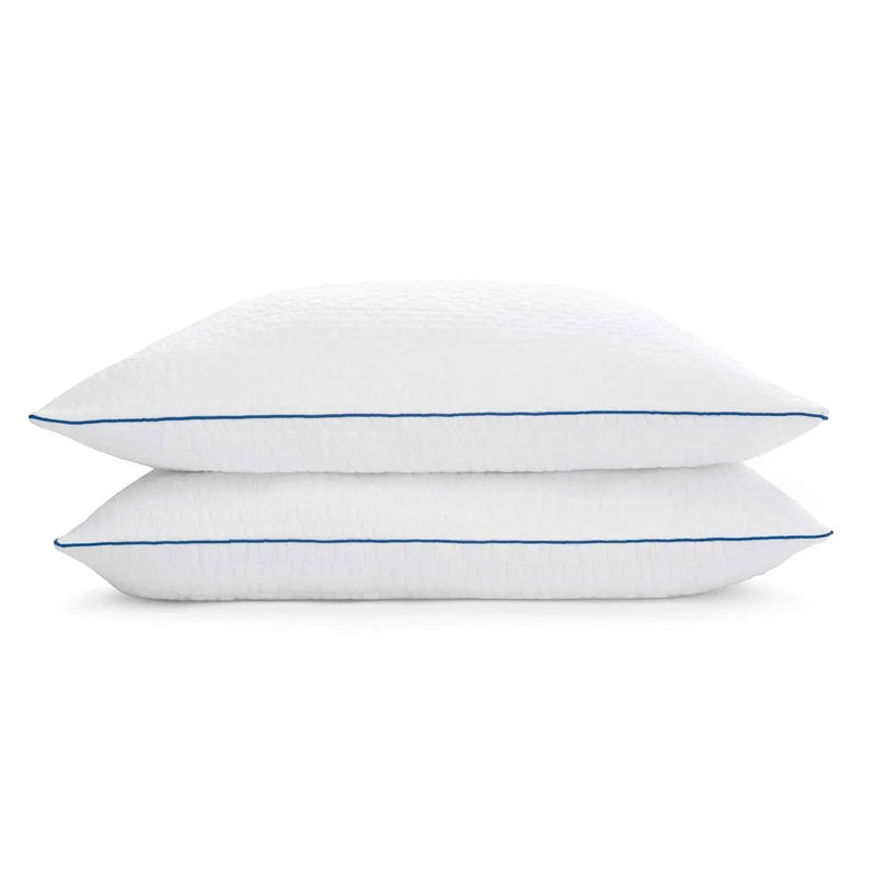 Set of 2 Queen size Memory Foam Pillow with Removable Machine Washable Cover by HomePacific