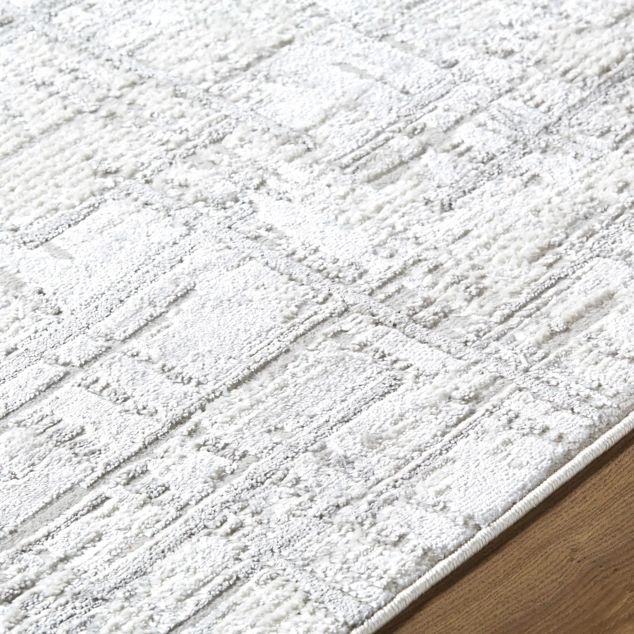 Antony Area Rug by Boutique Rugs