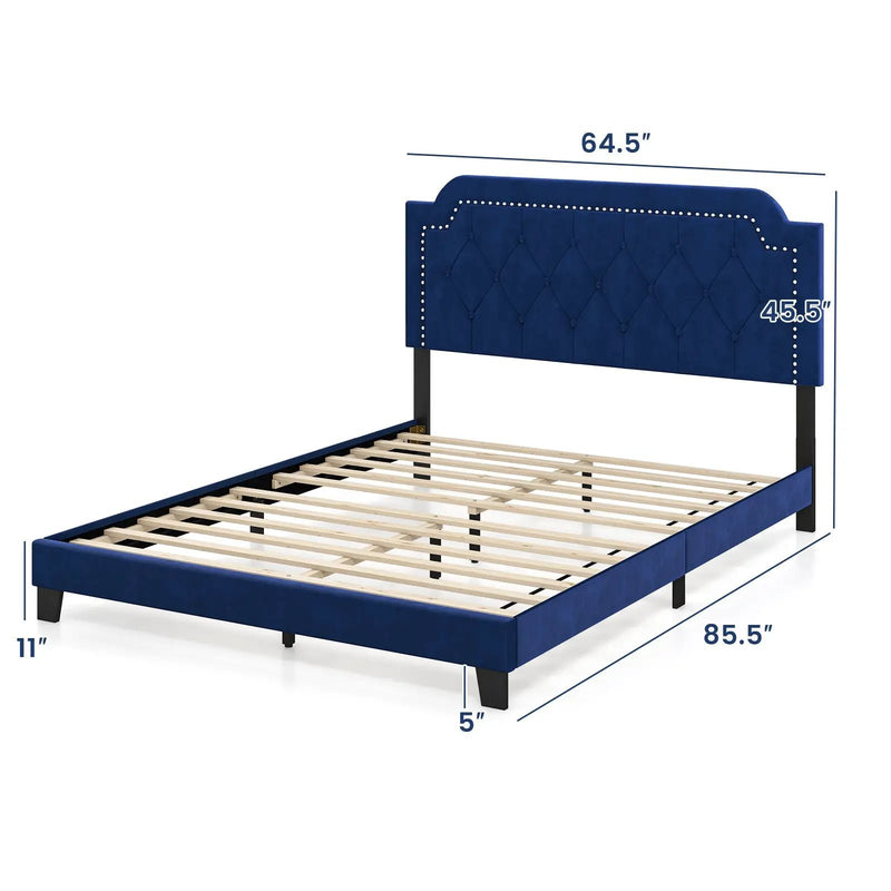 Queen Size Velvet Platform Bed with Button Tufted and Nailhead Trim Headboard-Queen Size by DirectDeals