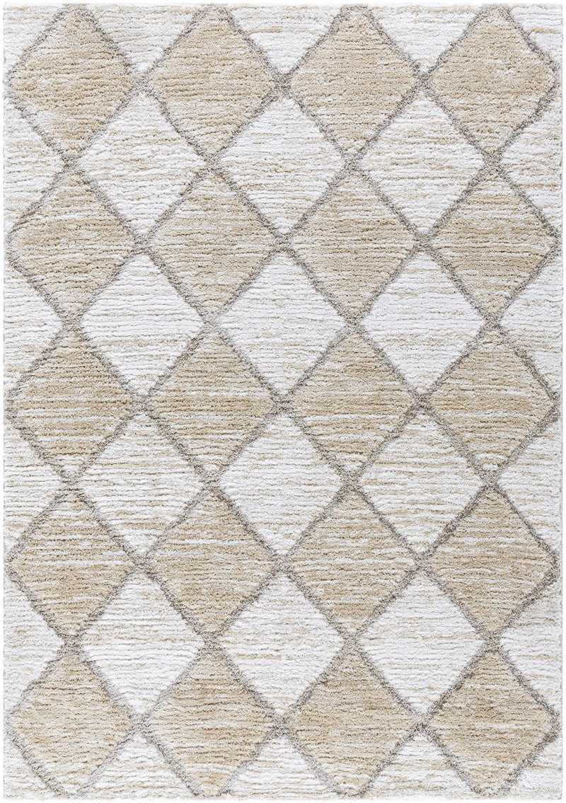 Aideen Cream Shag Area Rug - Clearance by Boutique Rugs