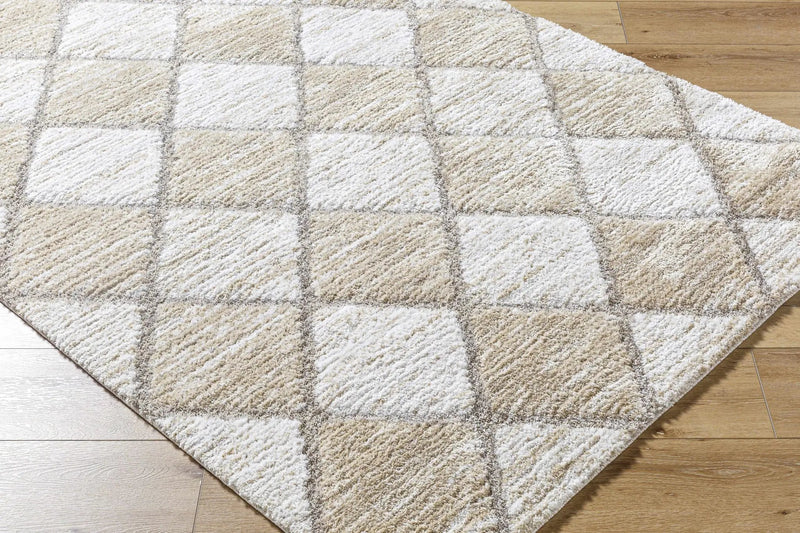 Aideen Cream Shag Area Rug - Clearance by Boutique Rugs