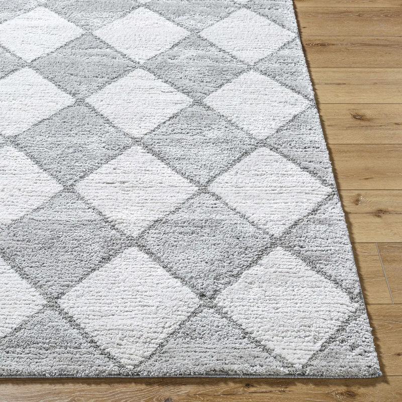 Aideen Gray Shag Area Rug - Clearance by Boutique Rugs