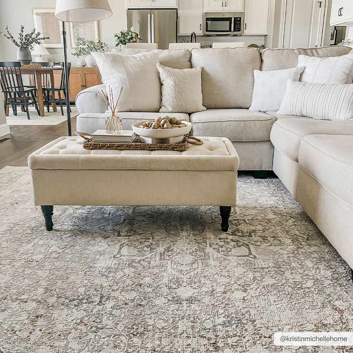 Eley Traditional Area Rug - Clearance by Boutique Rugs