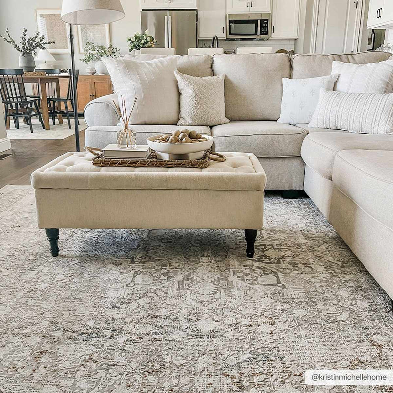 Eley Traditional Area Rug - Clearance by Boutique Rugs