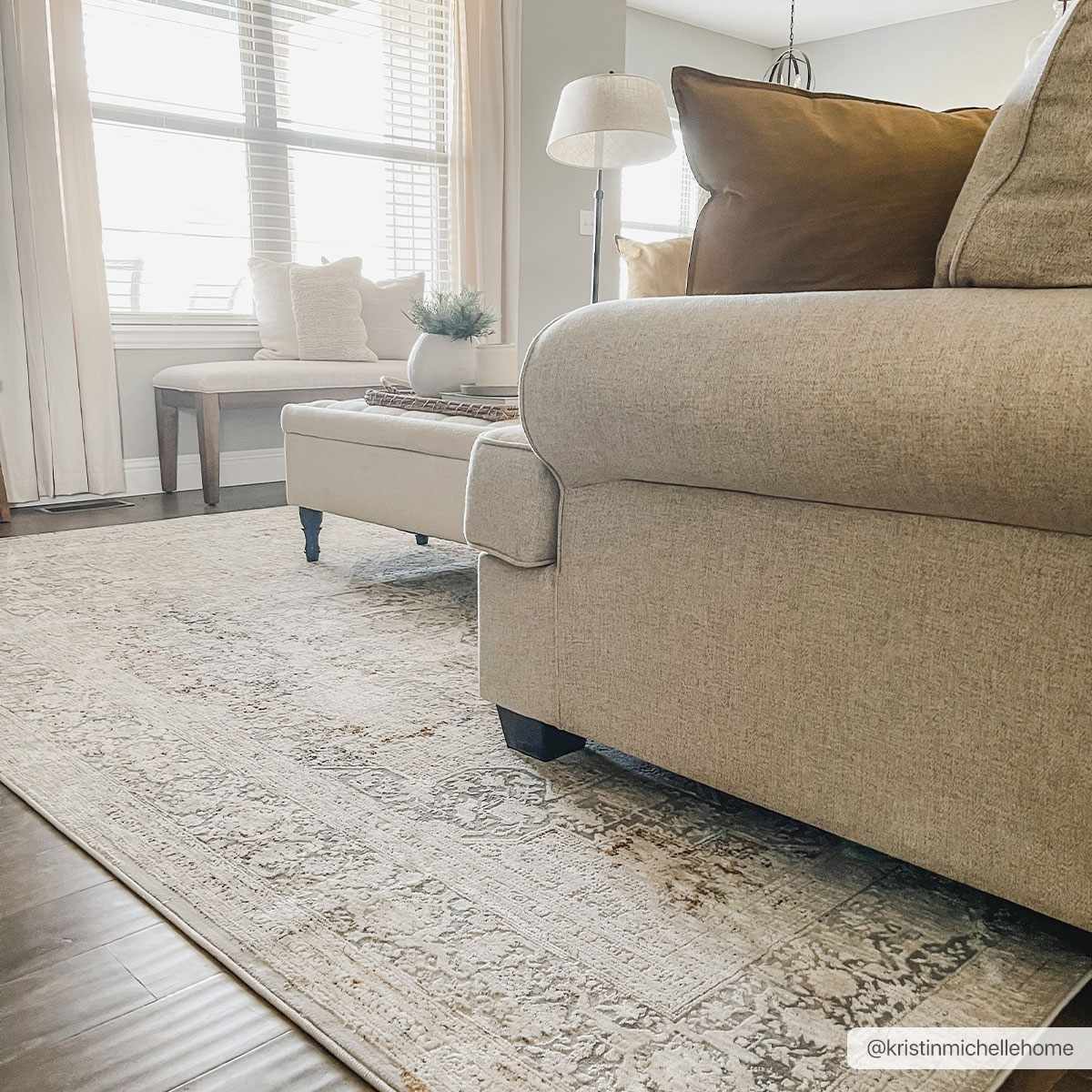 Eley Traditional Area Rug - Clearance, photo 8 of 12