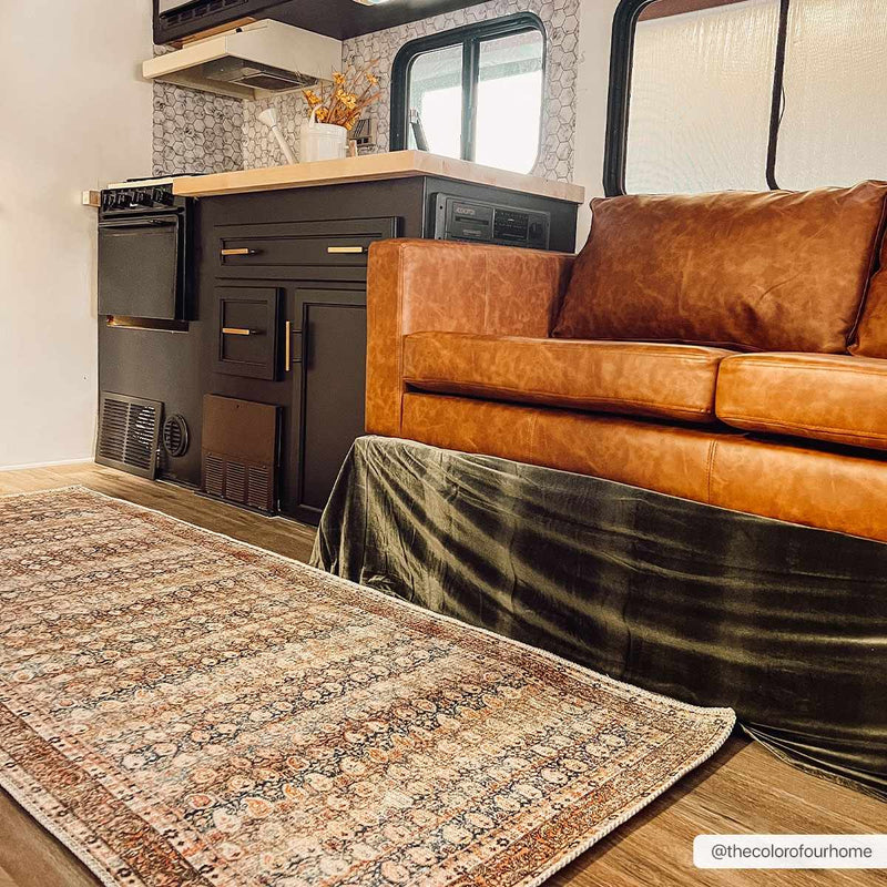 Rust Maligaya Distressed Washable Area Rug by Hauteloom